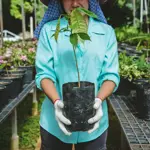 Nursery Garden Bags