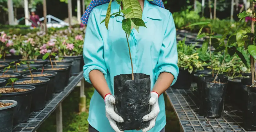 Nursery Garden Bags Manufacturing Factory in Nepal Nursery Garden Bags Manufacturing Factory in Nepal